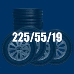 225/55/19