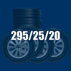 295/25/20